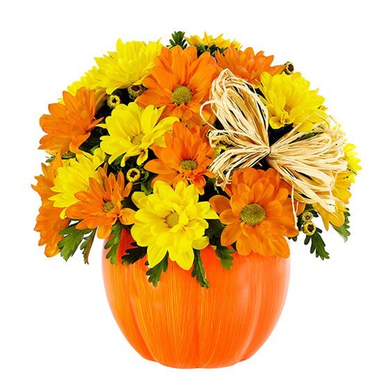 Aranjament floral in forma de dovleac, 9 crizanteme, portocaliu/galben, 12cm