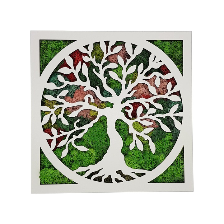 Aranjament Tablou COPACUL VIETII cu licheni multicolor, 30/30cm, Crioflora