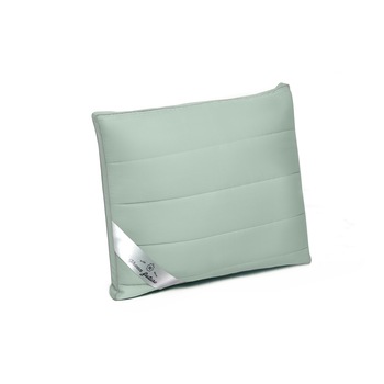 Perna Green Future Nature SAGE, 60x60 cm, umplutura bambus si bilute fibra siliconica Perna Green Future Nature SAGE, 60x60 cm, umplutura bambus si bilute fibra siliconica