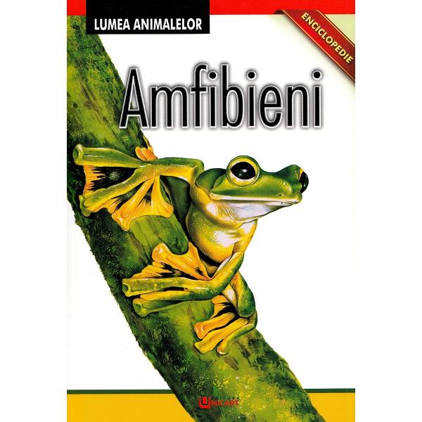 Enciclopedie: Amfibieni