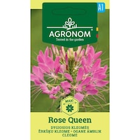 cleome rose queen agronom seminte plic 04 grame imagen 29_0_
0