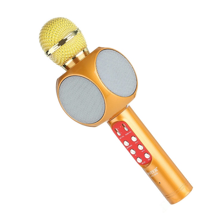 Microfon Karaoke wireless cu sistem Radio Recorder si Bluetooth