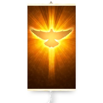 Panou radiant infrarosu Trio model Holy Spirit/Dove, 430W, 0,9kg, termostat 2 trepte, 100cm x 60cm Panou radiant infrarosu Trio model Holy Spirit/Dove, 430W, 0,9kg, termostat 2 trepte, 100cm x 60cm