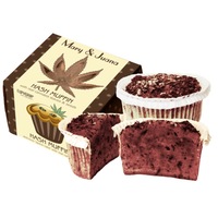 Briosa Euphoria Cannabis, aroma Hashish, 60 g