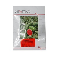 Seminte pepene verde Starplus F1 1 plic x 1000 seminte