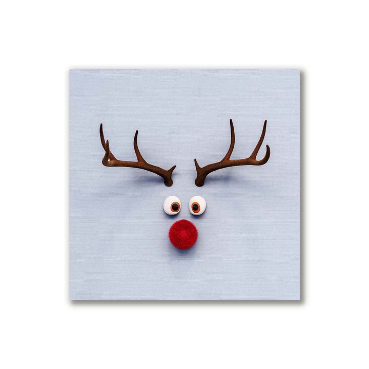 Pictura pe panza, 40x40cm, Decorarea peretilor, Renna Rudolf