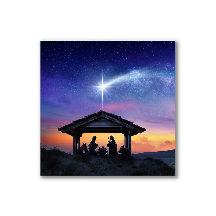 Pictura pe panza, 40x40cm, Decorarea peretilor, Gesù Natale