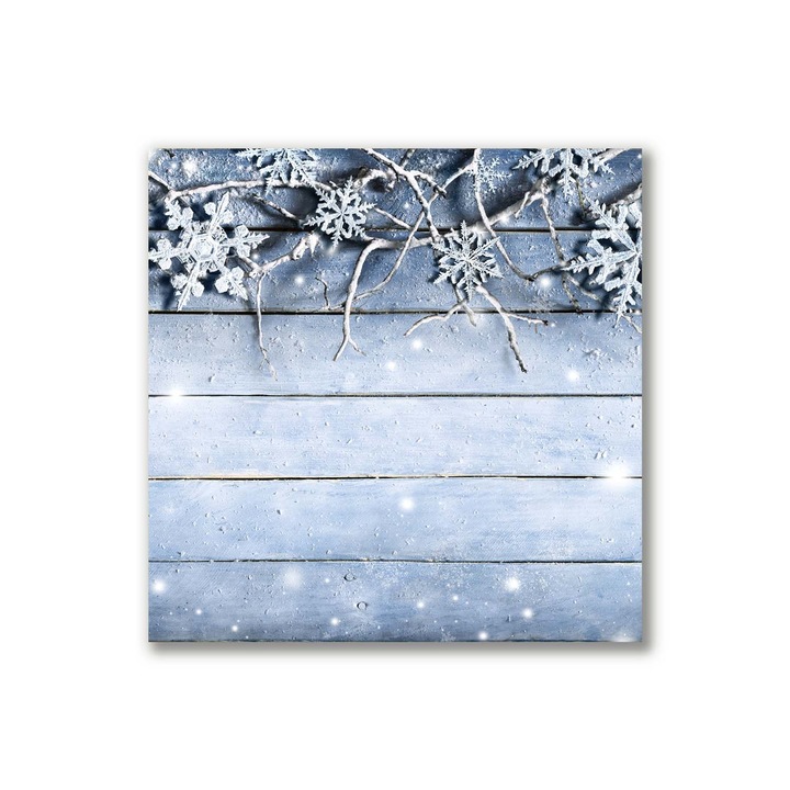 Pictura pe panza, 40x40cm, Decorarea peretilor, Fiocchi di neve