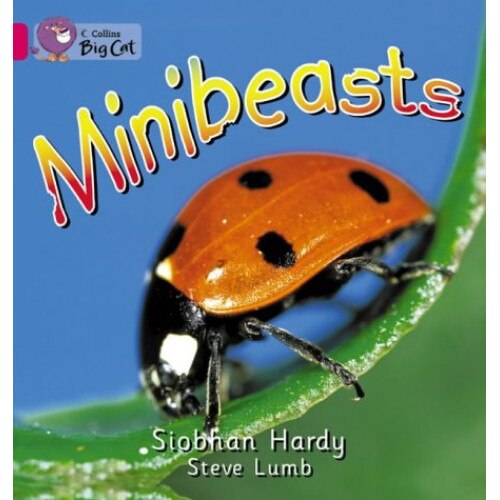 Minibeasts - Siobhan Hardy