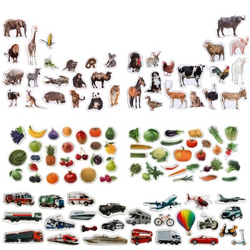 Set 110 magneti educationali MAGDUM cu animale, legume, fructe si vehicule Set 110 magneti educationali MAGDUM cu animale, legume, fructe si vehicule