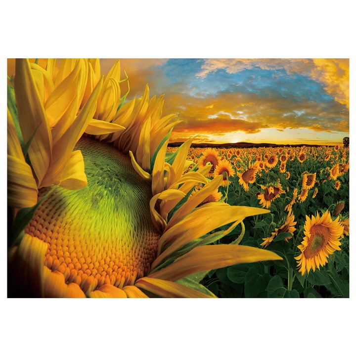 Kit broderie cu diamante rotunde, AMTMBS DIY 5D, Model camp Floarea-soarelui, 34.8 x 24.8 cm, Multicolor