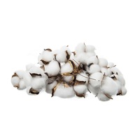 Set 24 bucati capete flori bumbac , Diametrul 6 cm , Alb , Avantflor