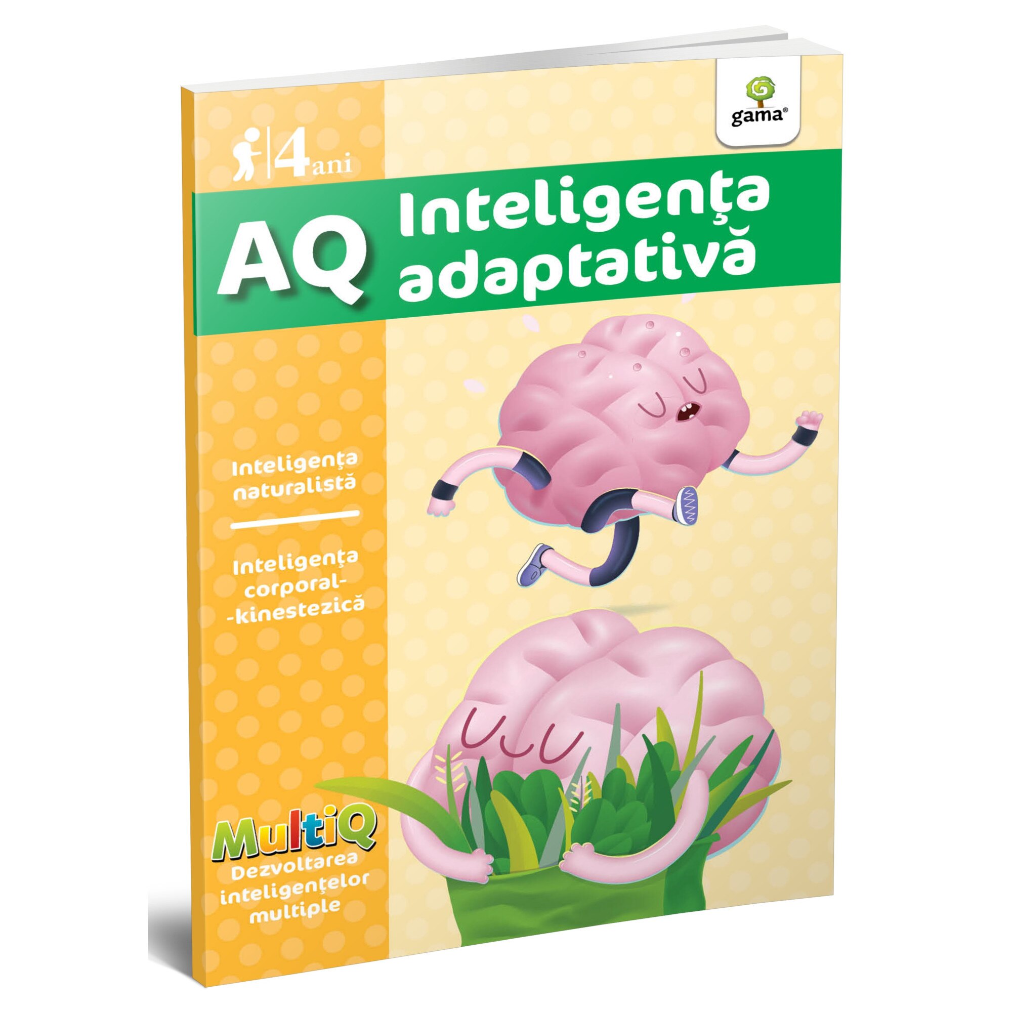 AQ - inteligenta adaptiva 4 ani