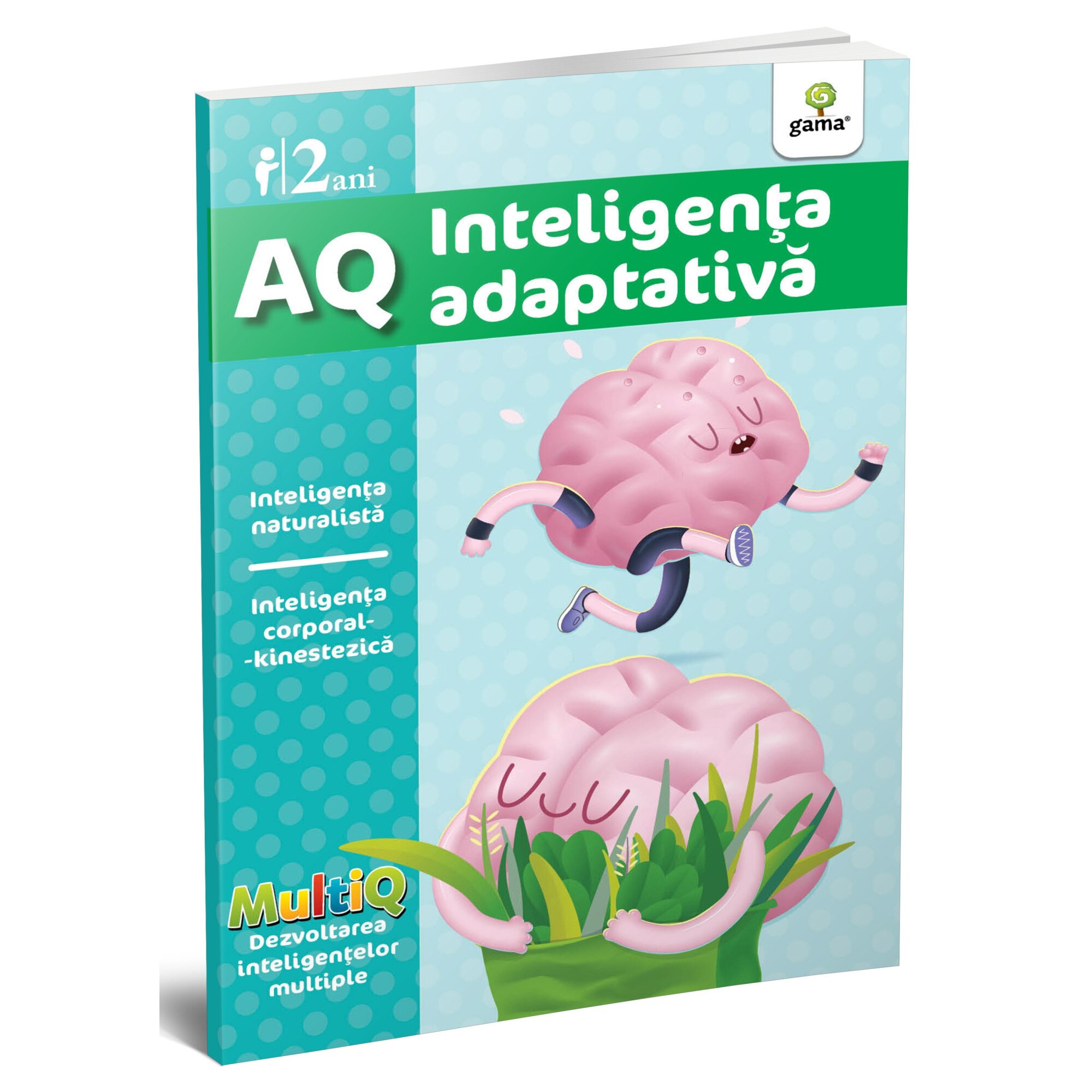 AQ Inteligenta adaptativa 2 ani