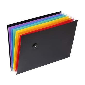 Organizator vertical / orizontal A4, extensibil, Rainbow Class 999467-05 Organizator vertical / orizontal A4, extensibil, Rainbow Class 999467-05