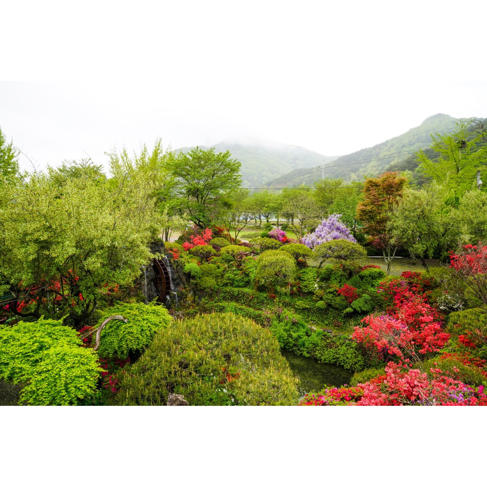 Fototapet Gradina cu Moara de Apa - 360x255 cm