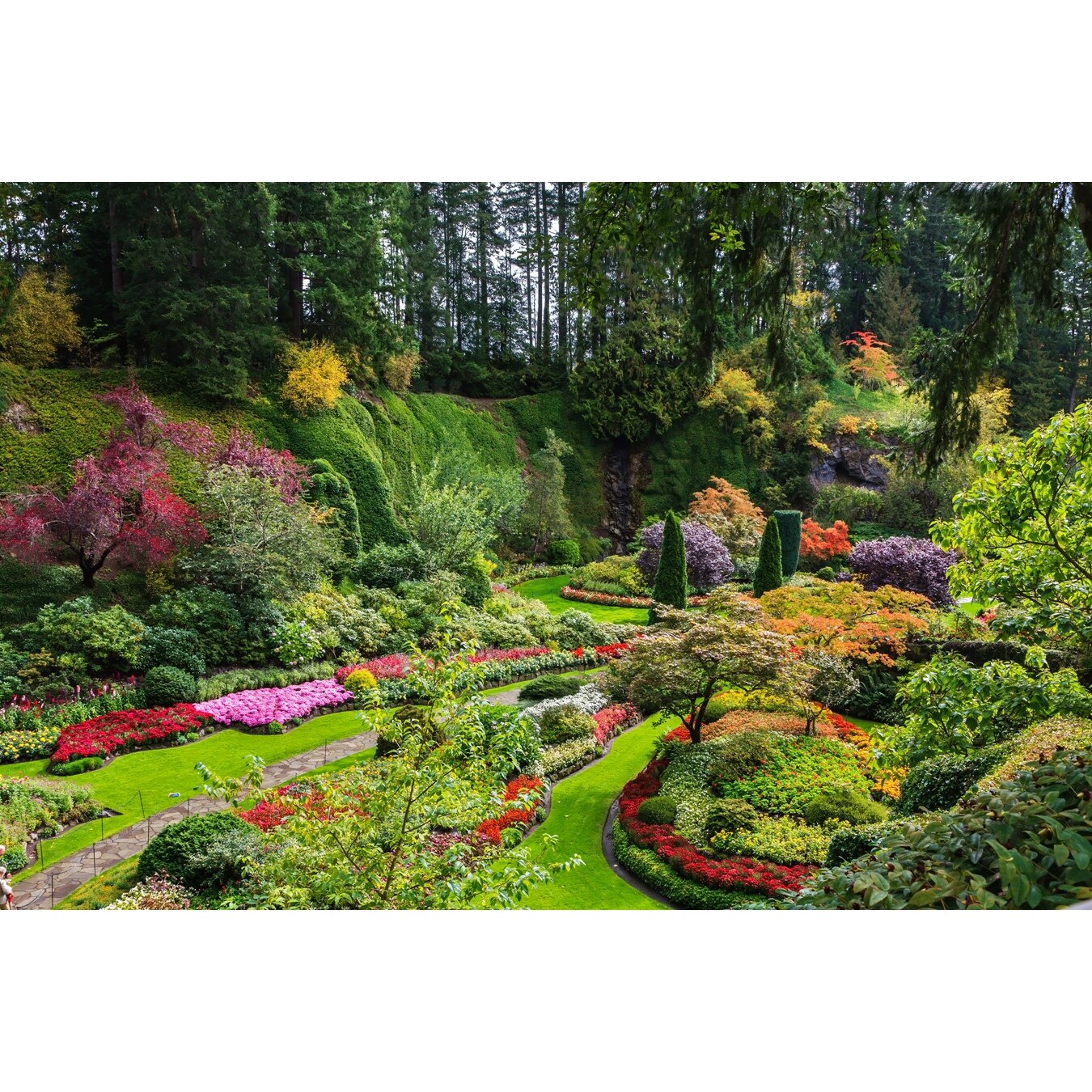 Fototapet Parc cu Flori - 180x120 cm