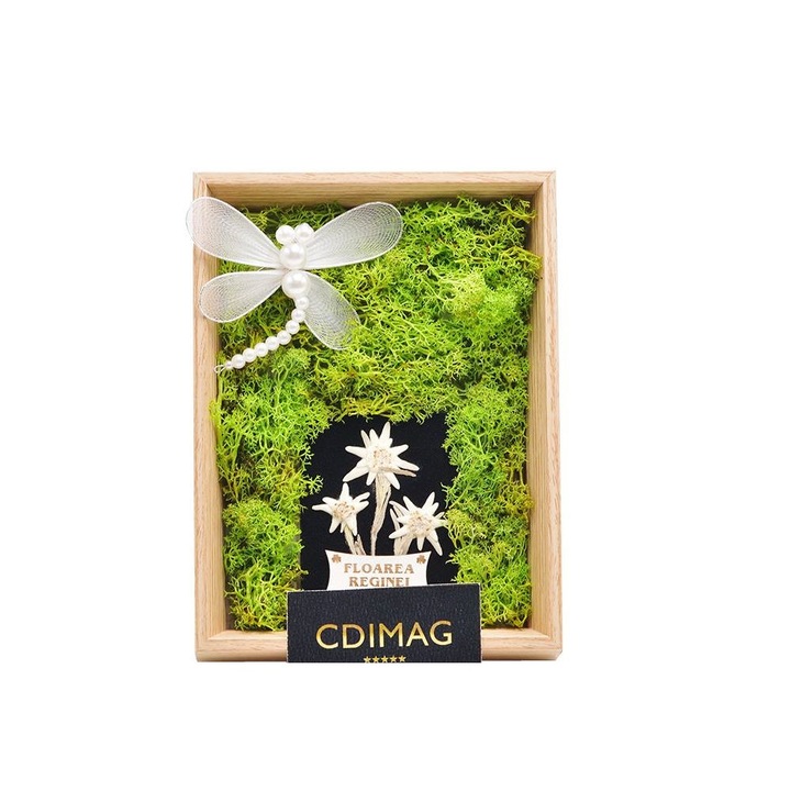 Rama foto decorata cu licheni stabilizati si Floare de Colt naturala, accesorizata cu brosa lucrata manual, Hand Made by CDIMAG®