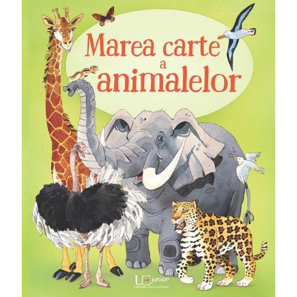 Marea carte a animalelor - Fabiano Fiorin, Hazel Maskell
