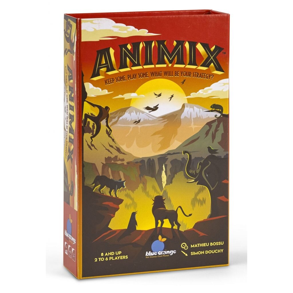 Joc de memorie si inteligenta, Blue Orange, Animix