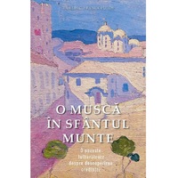 O Musca In Sfantul Munte - Vasilis G. Frangopulos