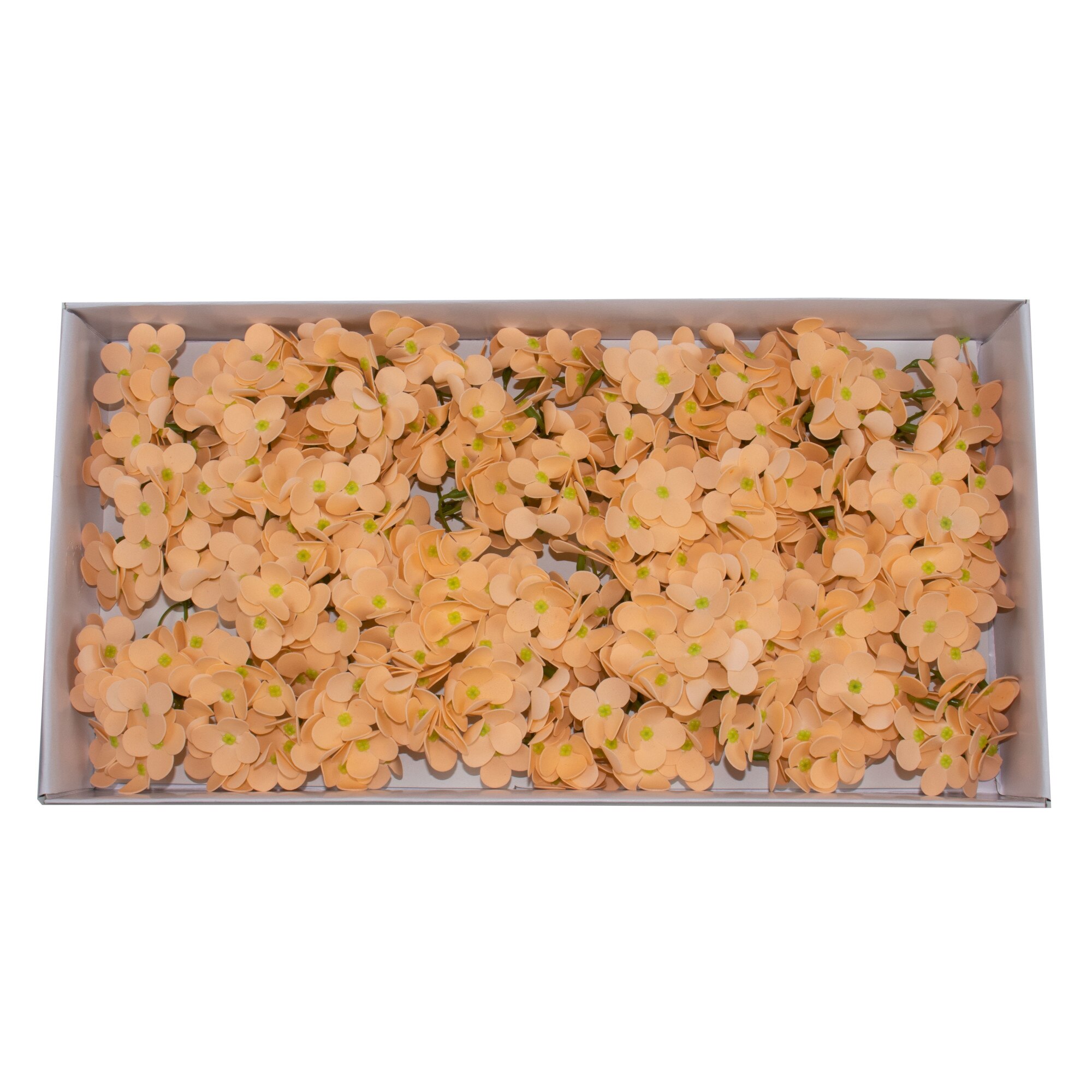 Hortensie sapun 36/Set, CD3444, Piersica 20