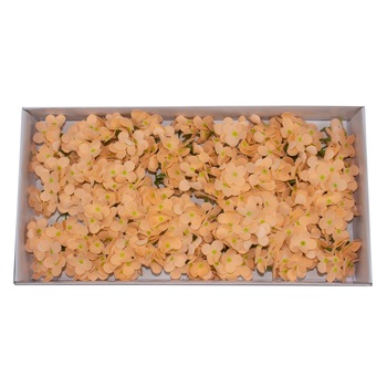 Hortensie sapun 36/Set, CD3444, Piersica 20 Hortensie sapun 36/Set, CD3444, Piersica 20