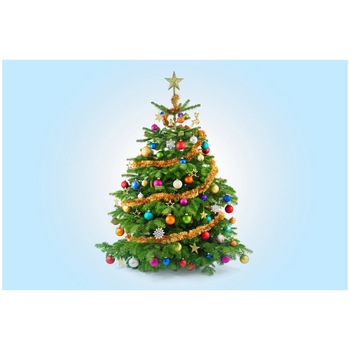 Fototapet Christmas, Sarbatori, Craciun - NBL-056, 100 x 150 cm Fototapet Christmas, Sarbatori, Craciun - NBL-056, 100 x 150 cm