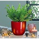 Ghiveci ceramic rotund Tusca rosu inchis 8.5cm