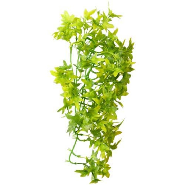 Hobby Ivy függő növény terráriumi dekoráció 37 cm