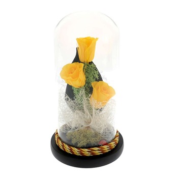 Buchet 3 Trandafiri Criogenati Galbeni in Cupola 20 cm Buchet 3 Trandafiri Criogenati Galbeni in Cupola 20 cm