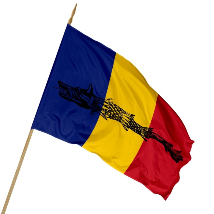 Steag Lupul Dacic tricolor , TIDA-R0, Poliester, 90 x 135 cm