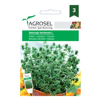 Seminte cimbru Common, AGROSEL home gardening, 4 g Seminte cimbru Common, AGROSEL home gardening, 4 g