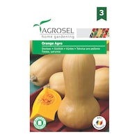 Seminte Dovleac Placintar de copt Orange Agro, AGROSEL home gardening, portocaliu deschis, 5 g