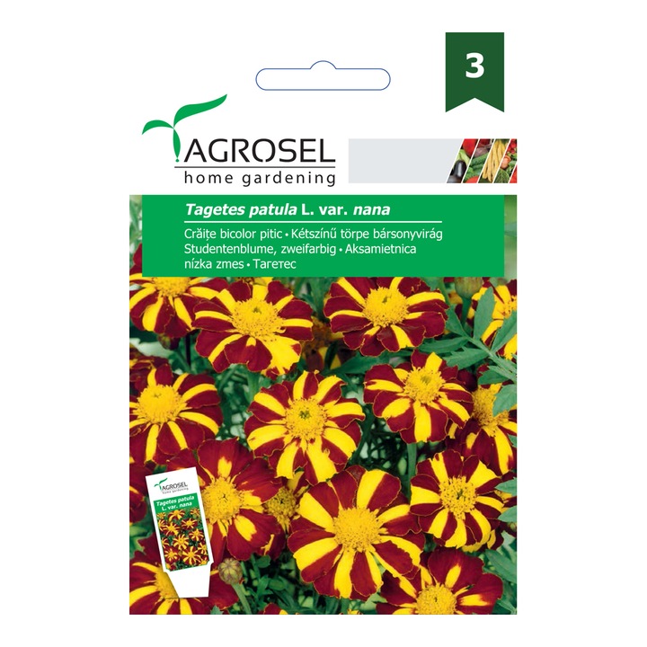 Seminte craite bicolor pitic, AGROSEL home gardening, 1 g