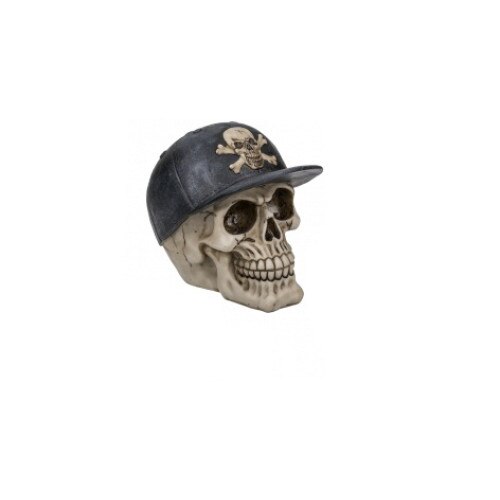 Pusculita craniu, 14x12, Out of the blue