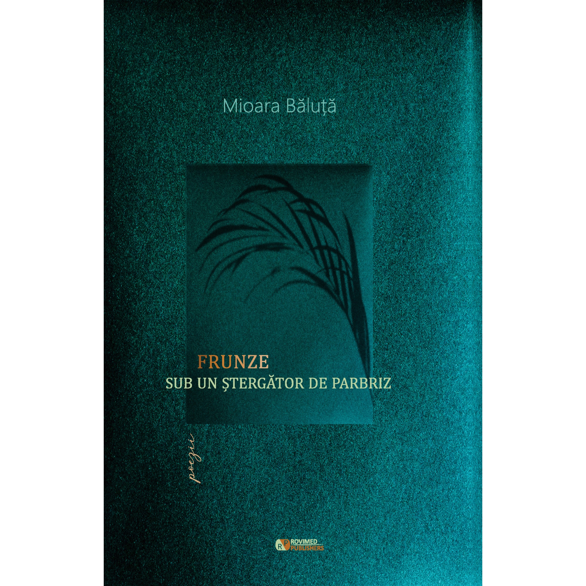 Frunze sub un stergator de parbriz - Mioara Baluta