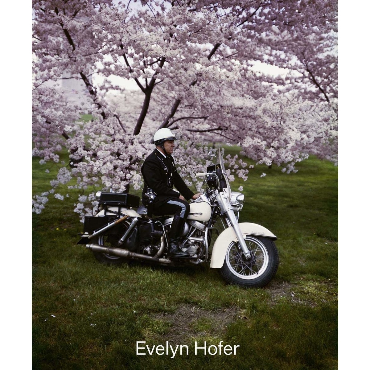 Evelyn Hofer: Begegnungen / Encounters - Evelyn HoferMarion BornscheuerHarald Kunde