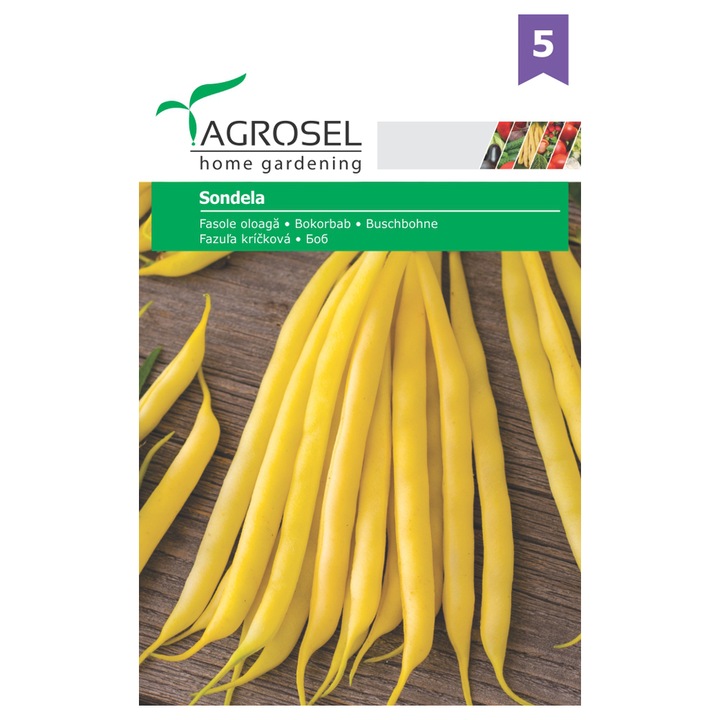 Seminte Fasole oloaga Sondela, galben auriu, 45 g