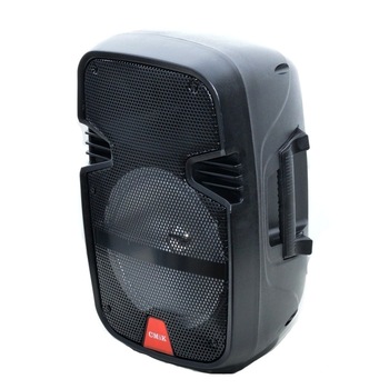 Boxa Portabila cu Amplificator,Bluetooth,Radio FM,Usb,Card TF,Inregistrare, 39cm,negru Boxa Portabila cu Amplificator,Bluetooth,Radio FM,Usb,Card TF,Inregistrare, 39cm,negru