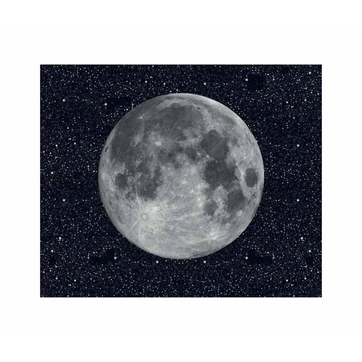 Tapet 3D, texturat, in relief - The Moon 400x330 cm