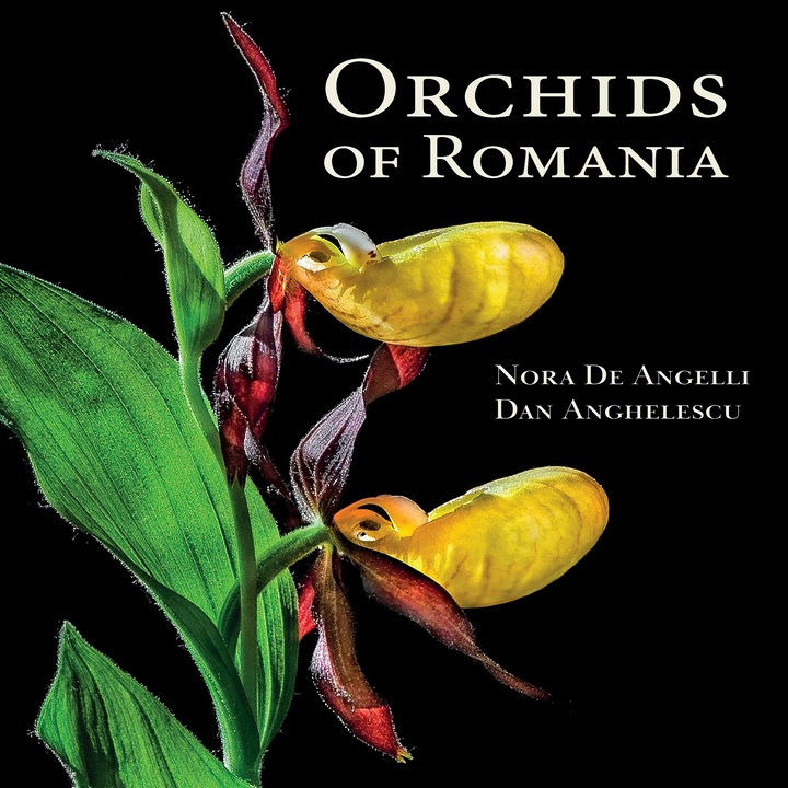 Orhideele din Romania, Nora de Angelli si Dan Anghelescu, 750 fotografii, 300 pagini
