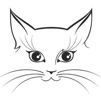 sticker decorativ perete  geam si auto kitty face 14x12 cm imagen 57_0_
0