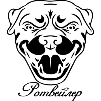 Sticker decorativ perete / geam si auto, Pitbull pombeurep, 17x13 cm Sticker decorativ perete / geam si auto, Pitbull pombeurep, 17x13 cm