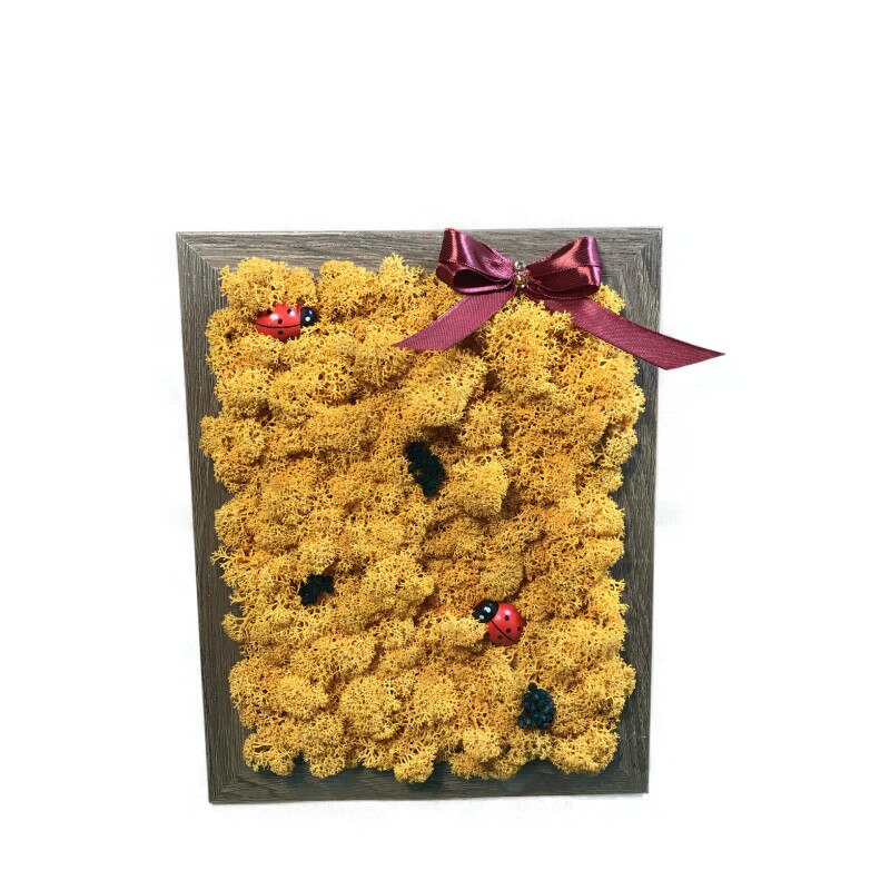 Tablou licheni galbeni, Aranjamente de vis, dimensiune 15x20 cm