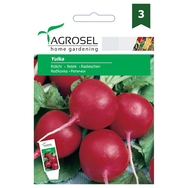 Seminte Ridichi Yulka, rosu