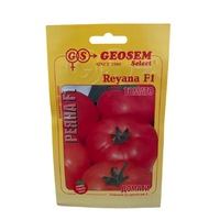 seminte tomate reyana f1 bulgaresti crestere nedeterminata medii timpurii - 2500 seminte imagen 56_0_
0
