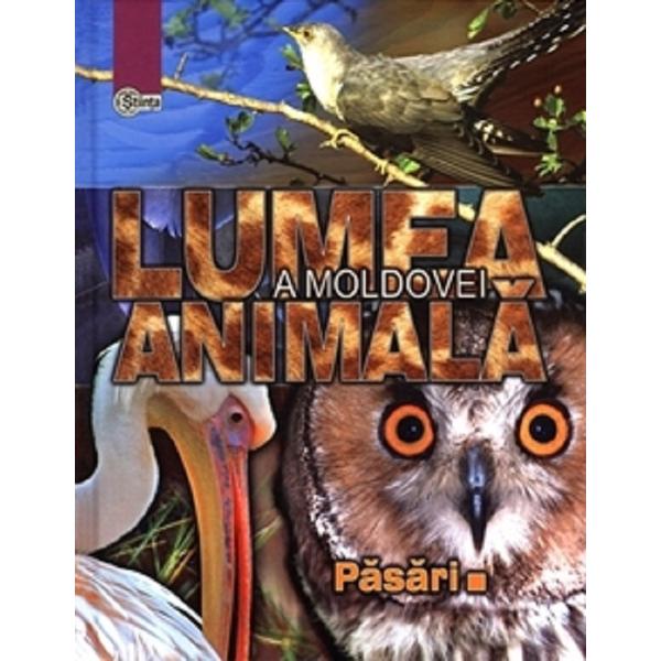 Lumea animala a Moldovei. Vol.3: Pasari - Andrei Munteanu, Tudor Cozari, Nicolae Zubcov