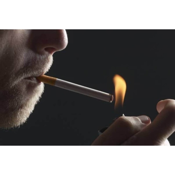 Brichete Elfi, 50Buc/Set