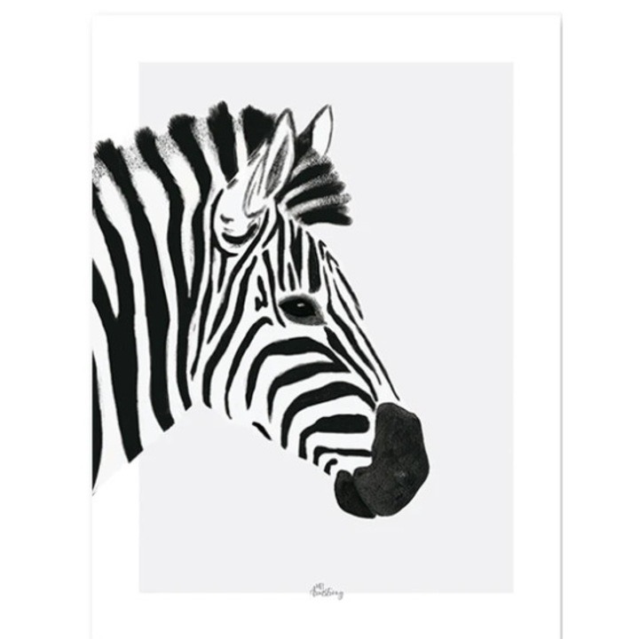 Poszter Lilipinso Zebra 30x40cm